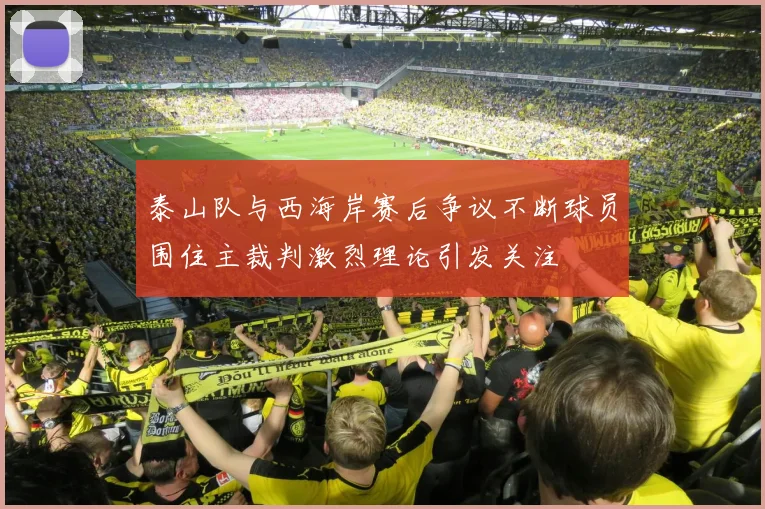 泰山队与西海岸赛后争议不断球员围住主裁判激烈理论引发关注