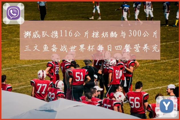 挪威队携116公斤棕奶酪与300公斤三文鱼备战世界杯每日四餐营养充足